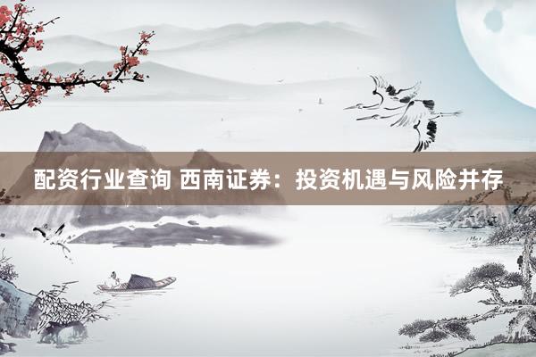 配资行业查询 西南证券：投资机遇与风险并存
