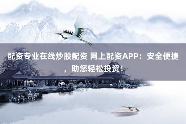 配资专业在线炒股配资 网上配资APP：安全便捷，助您轻松投资！