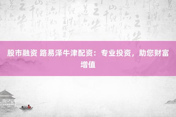 股市融资 路易泽牛津配资：专业投资，助您财富增值