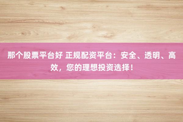 那个股票平台好 正规配资平台：安全、透明、高效，您的理想投资选择！