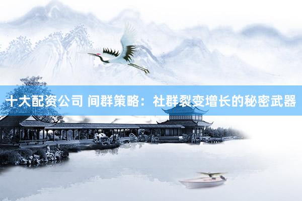 十大配资公司 间群策略：社群裂变增长的秘密武器
