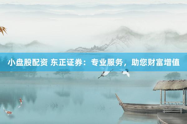 小盘股配资 东正证券：专业服务，助您财富增值