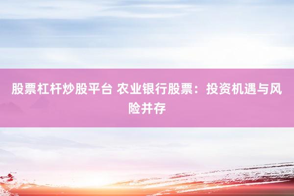 股票杠杆炒股平台 农业银行股票：投资机遇与风险并存