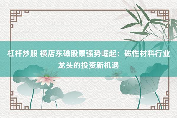 杠杆炒股 横店东磁股票强势崛起：磁性材料行业龙头的投资新机遇
