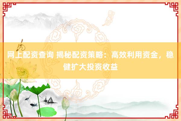 网上配资查询 揭秘配资策略：高效利用资金，稳健扩大投资收益