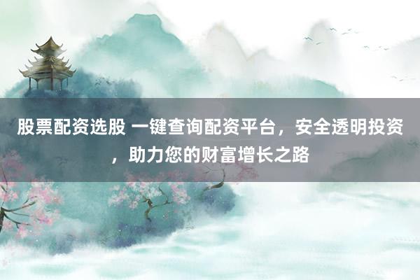 股票配资选股 一键查询配资平台，安全透明投资，助力您的财富增长之路