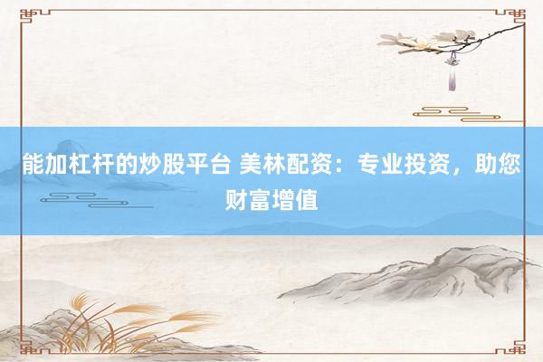 能加杠杆的炒股平台 美林配资：专业投资，助您财富增值
