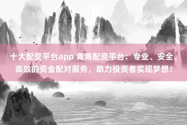 十大配资平台app 青海配资平台：专业、安全、高效的资金配对服务，助力投资者实现梦想！
