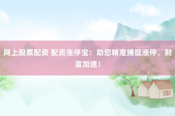 网上股票配资 配资涨停宝：助您精准捕捉涨停，财富加速！