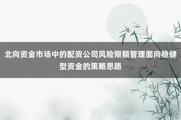 北向资金市场中的配资公司风险限额管理面向稳健型资金的策略思路
