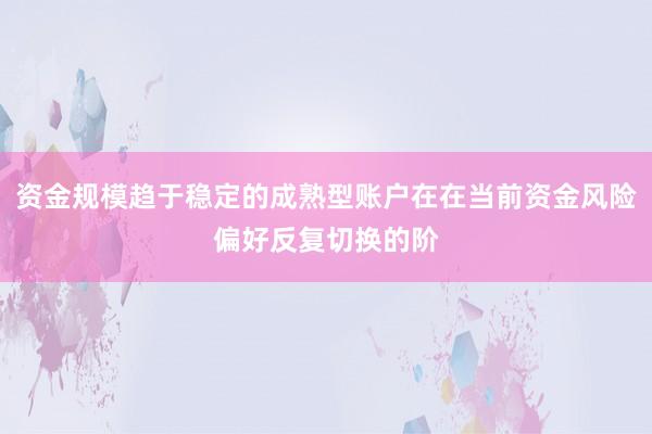 资金规模趋于稳定的成熟型账户在在当前资金风险偏好反复切换的阶
