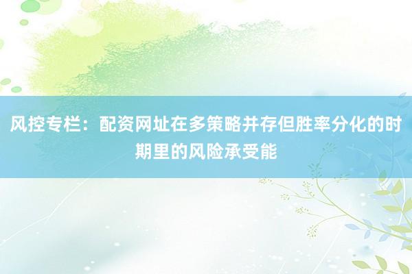 风控专栏：配资网址在多策略并存但胜率分化的时期里的风险承受能