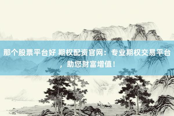 那个股票平台好 期权配资官网：专业期权交易平台，助您财富增值！
