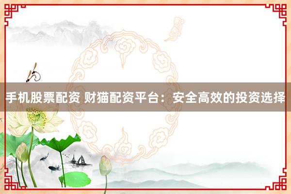 手机股票配资 财猫配资平台：安全高效的投资选择