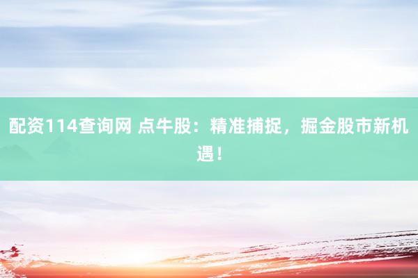 配资114查询网 点牛股：精准捕捉，掘金股市新机遇！