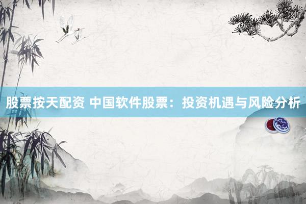 股票按天配资 中国软件股票：投资机遇与风险分析