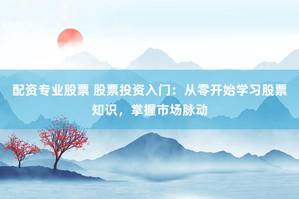 配资专业股票 股票投资入门：从零开始学习股票知识，掌握市场脉动